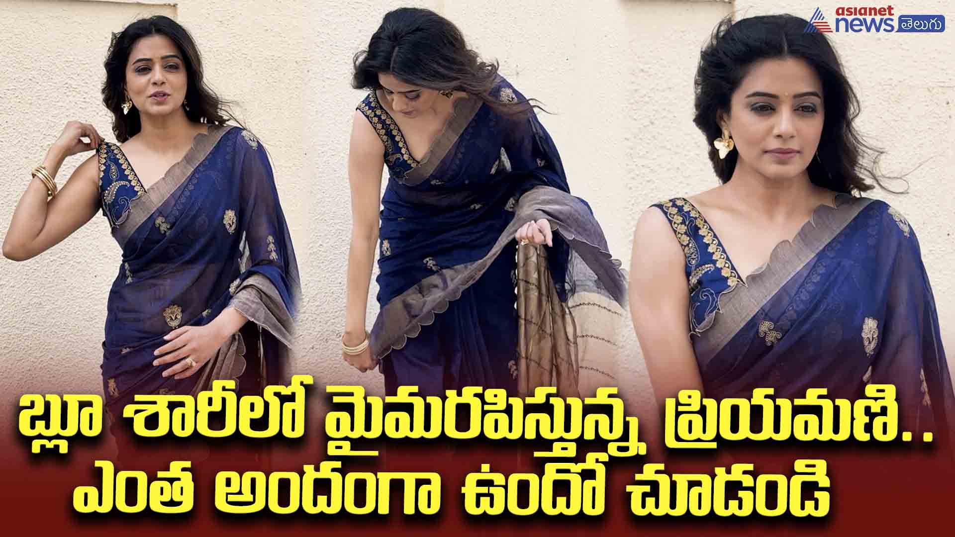 బ్లూ శారీలో మైమరపిస్తున్న ప్రియమణి.. ఎంత అందంగా ఉందో చూడండి