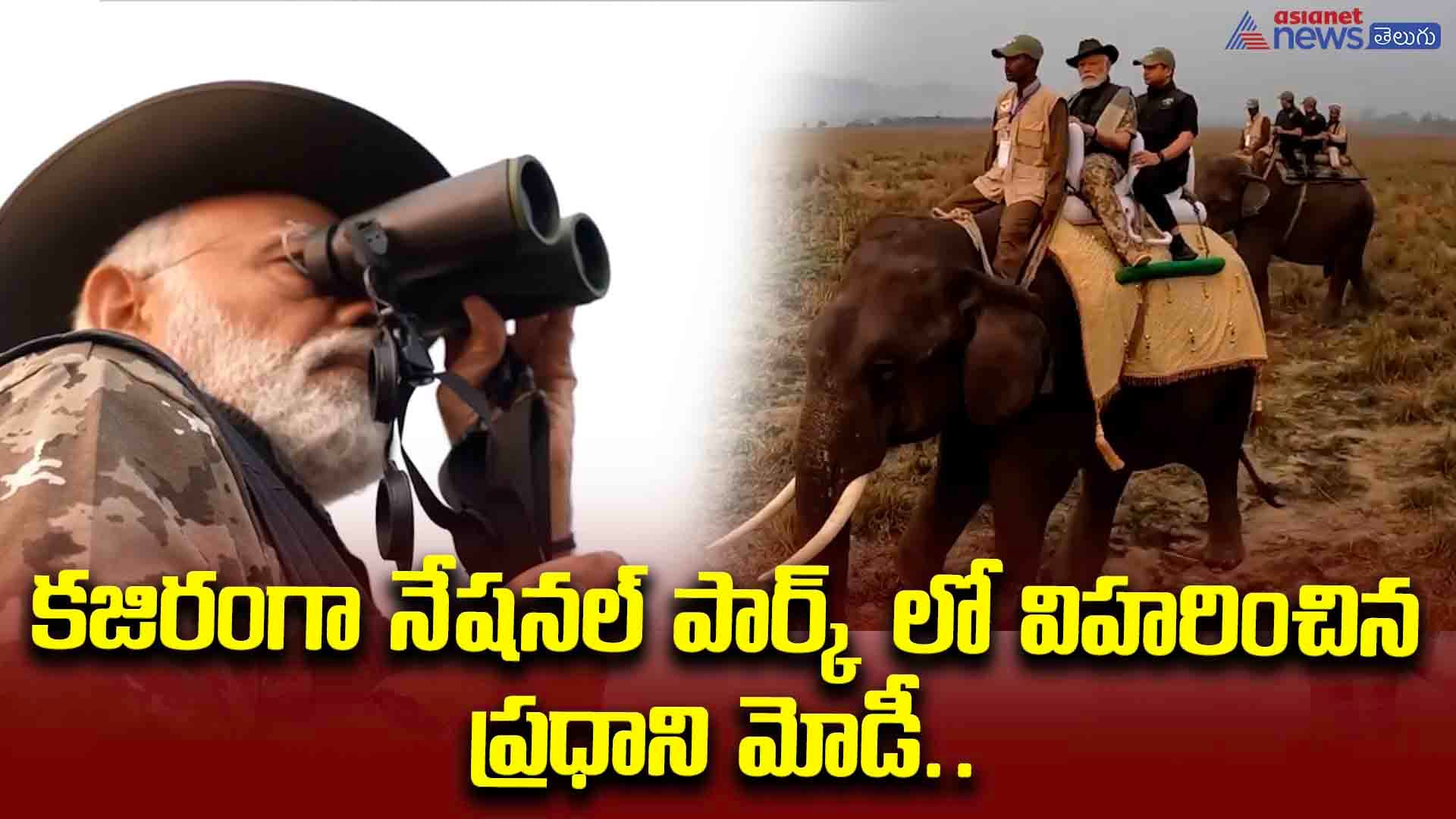 కజిరంగా నేషనల్‌ పార్క్ లో విహరించిన ప్రధాని మోడీ.. యానిమల్స్ మనసు కూడా దోచేశాడుగా