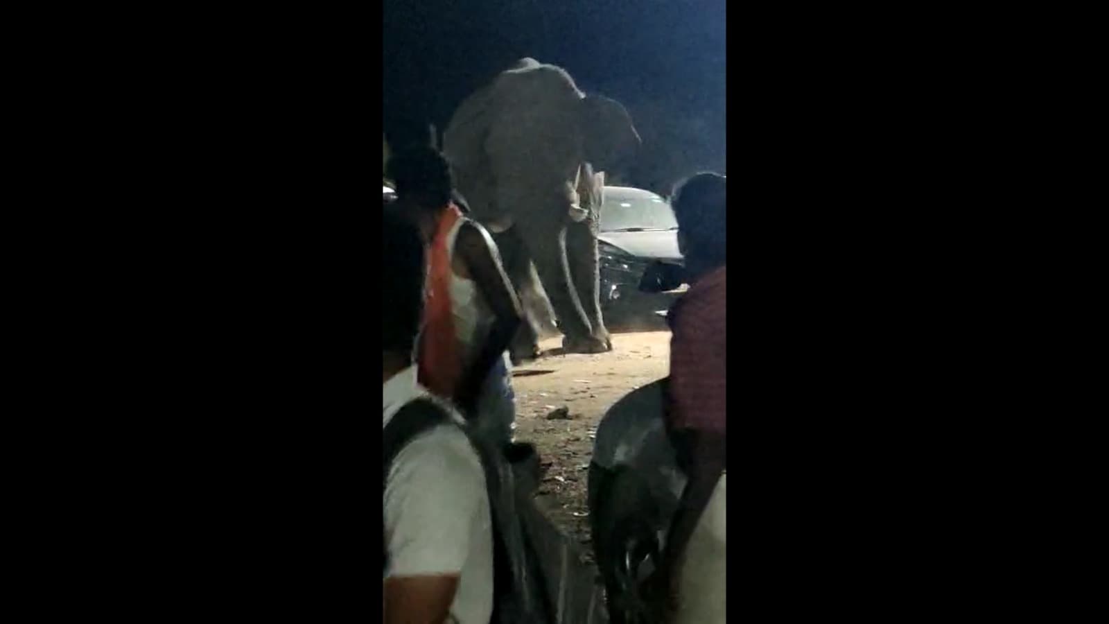 வெள்ளியங்கிரியில் காட்டு யானையை போட்டோ எடுத்து டென்ஷனாக்கிய பக்தர்கள்; யானை ஆக்ரோஷம்