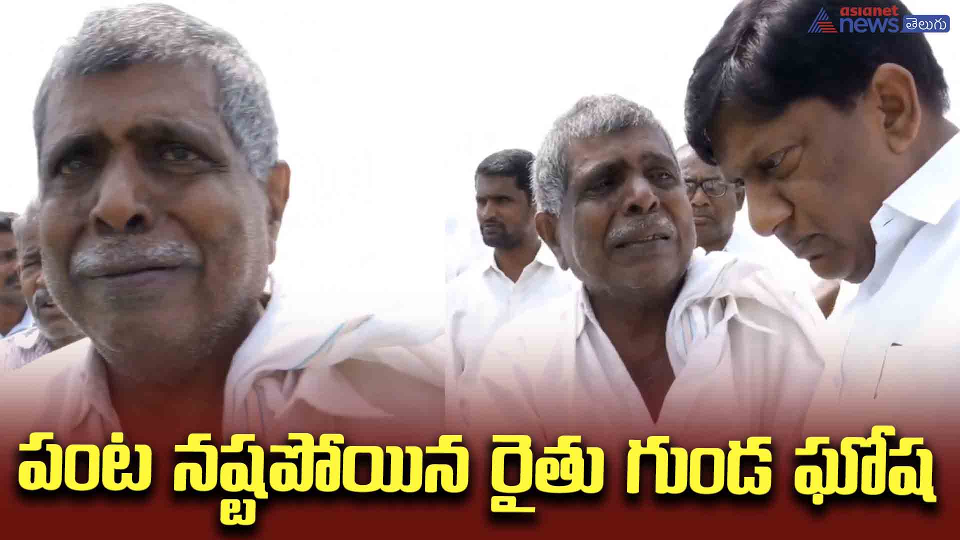 పంట నష్టపోయిన రైతు గుండ ఘోష 