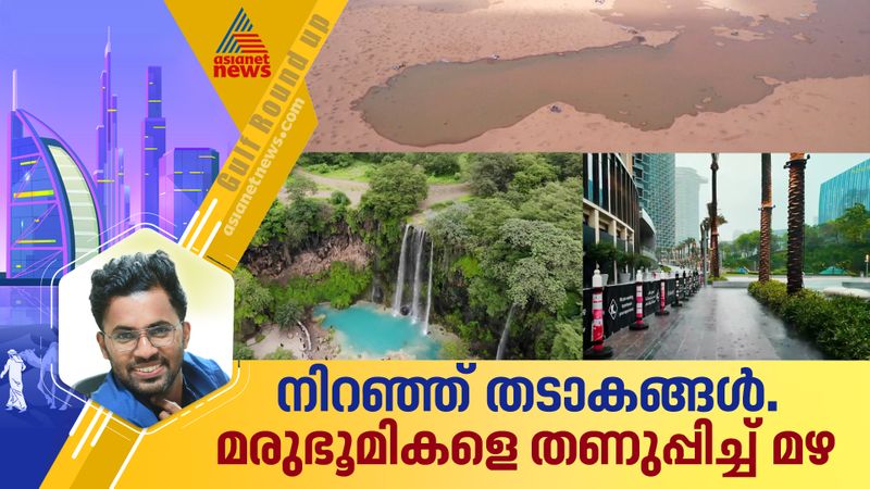 നിറഞ്ഞ് തടാകങ്ങൾ, മരുഭൂമികളെ തണുപ്പിച്ച് മഴ