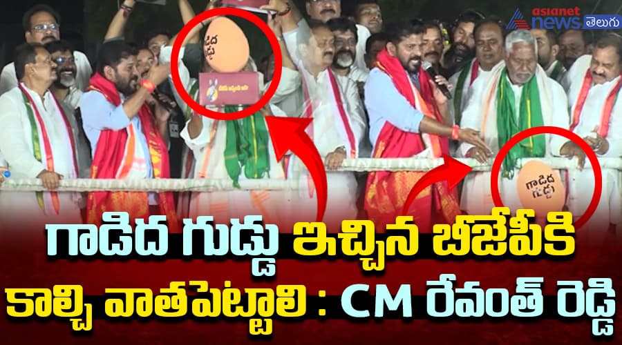 గాడిద గుడ్డు ఇచ్చిన బీజేపీకి కాల్చి వాత పెట్టాలి : CM రేవంత్ రెడ్డి