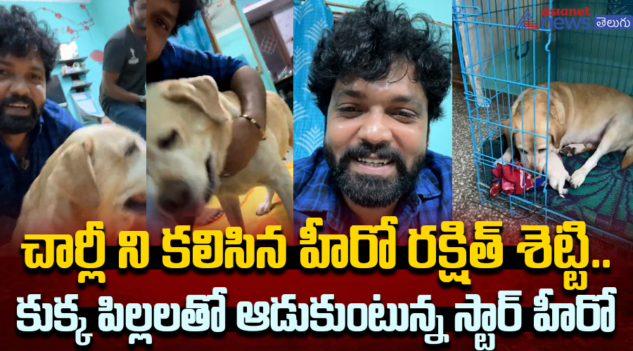 చార్లీ ని కలిసిన హీరో రక్షిత్ శెట్టి.. కుక్క పిల్లలతో ఆడుకుంటున్న స్టార్ హీరో వీడియో వైరల్..