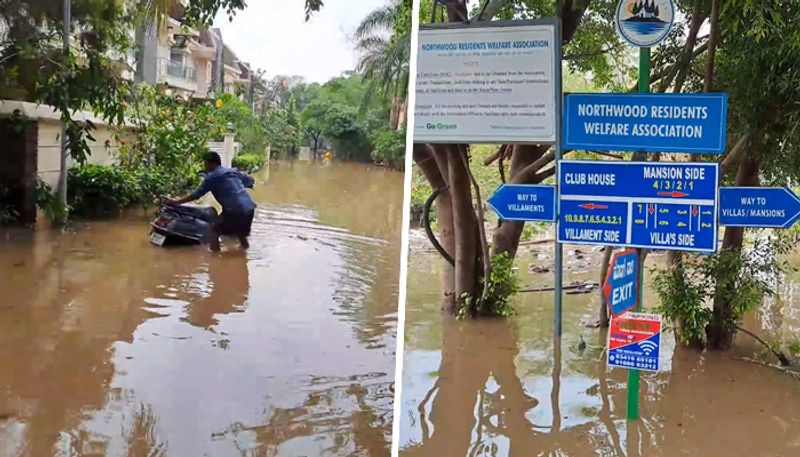 Bengaluru: Apartment residents in Yelahanka slam BBMP as drainage water floods apartments (WATCH)