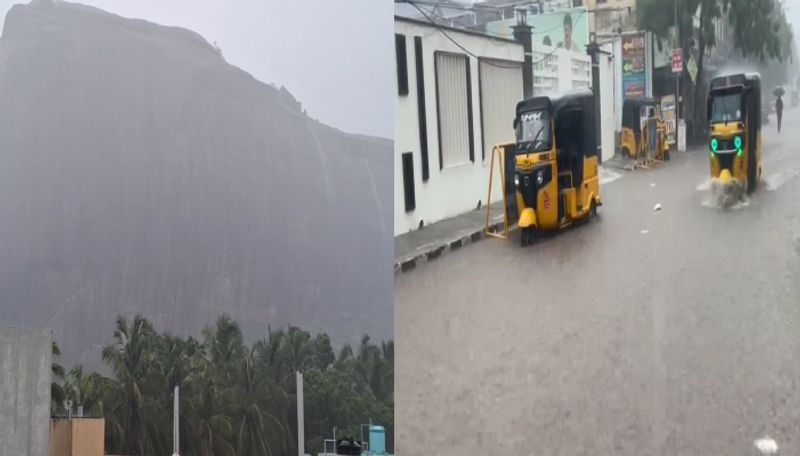 TN Rain : தூத்துக்குடி.. மதுரை.. கொட்டித்தீர்த்த பேய் மழை.. வெள்ளக்காடாக மாறிய சாலைகள் - மக்கள் அவதி! Video!