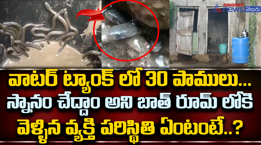వాటర్ ట్యాంక్ లో 30 పాములు... స్నానం చేద్దాం అని బాత్ రూమ్ లోకి వెళ్ళిన వ్యక్తి పరిస్థితి ఏంటంటే..?