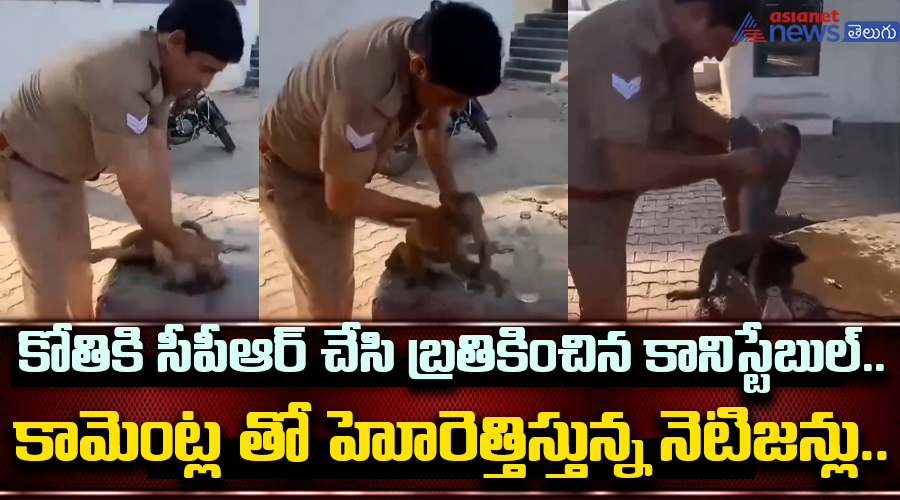 కోతికి సీపీఆర్ చేసి బ్రతికించిన కానిస్టేబుల్.... కామెంట్ల తో హోరెత్తిస్తున్న నెటిజన్లు..