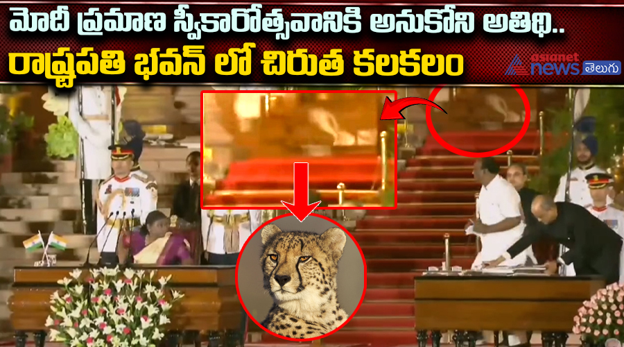 మోదీ ప్రమాణ స్వీకారోత్సవానికి అనుకోని అతిథి.. రాష్ట్రపతి భవన్ లో చిరుత కలకలం