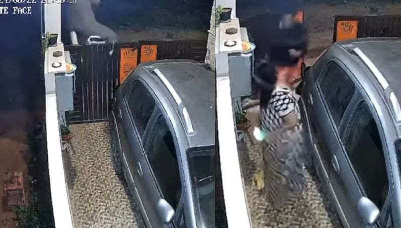 "அட நானும் வாக்கிங் தான் வந்தேன்".. இரவு நேரத்தில் ஷாக் கொடுத்த காட்டு யானை - தெறித்து ஓடிய தம்பதி! Video!