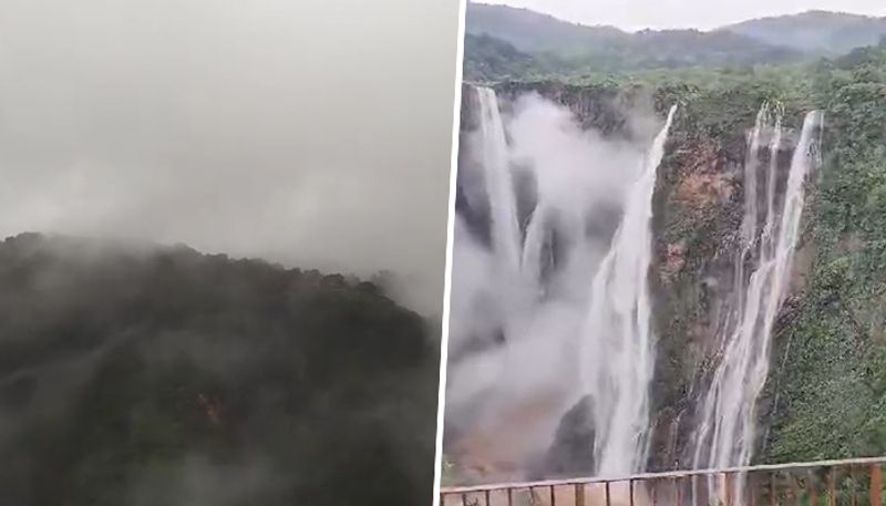 Karnataka: Magical mist attracts tourists to world-famous Jog Falls in Shivamogga; WATCH stunning video