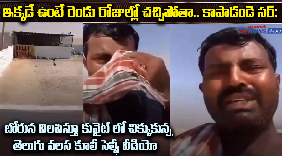 ఇక్కడే ఉంటే రెండు రోజుల్లో చచ్చిపోతా.. కాపాడండి సర్: కువైట్ లో చిక్కుకున్న తెలుగు వలస కూలీ సెల్ఫీ వీడియో