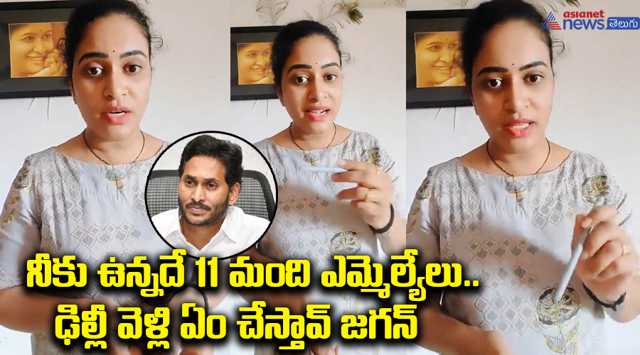 నీకు ఉన్నదే 11 మంది ఎమ్మెల్యేలు.. ఢిల్లీ వెళ్లి ఏం చేస్తావ్ జగన్