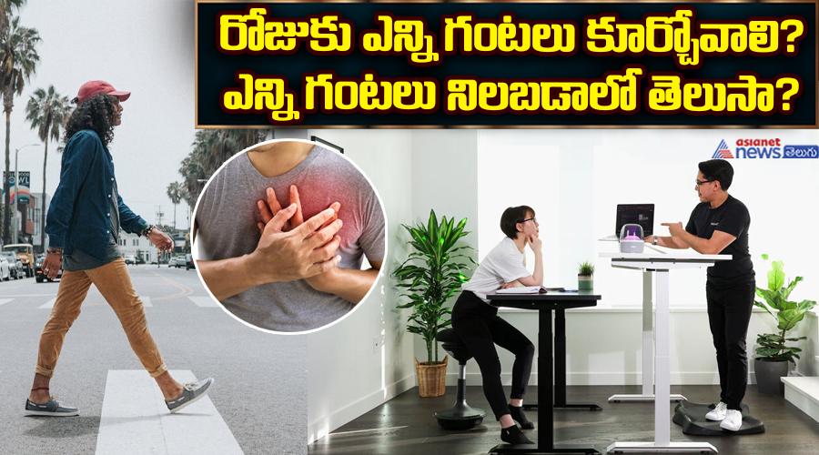 రోజుకు ఎన్ని గంటలు కూర్చోవాలి? ఎన్ని గంటలు నిలబడాలో తెలుసా? 