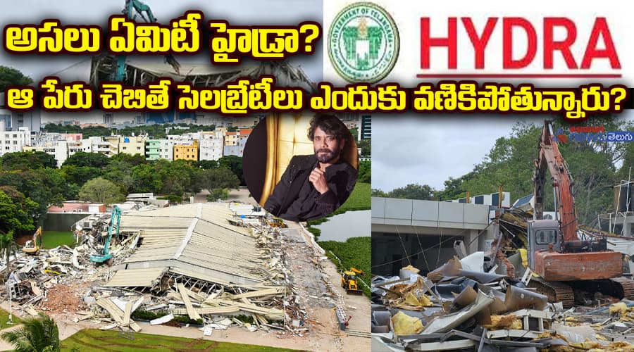అసలు ఏమిటీ హైడ్రా? ఆ పేరు చెబితే సెలబ్రేటీలు ఎందుకు వణికిపోతున్నారు?