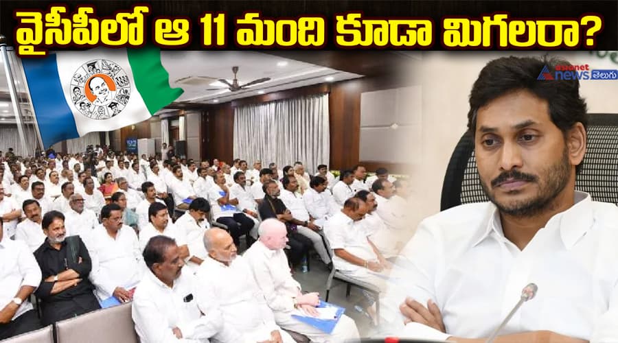 వైసీపీలో ఆ 11 మంది కూడా మిగలరా? 