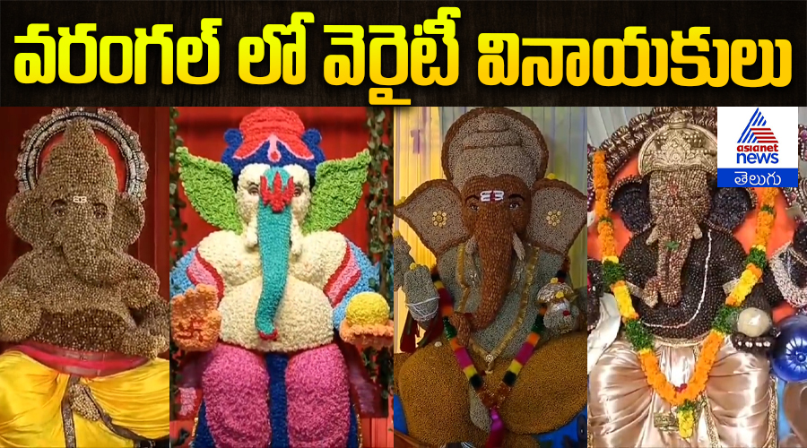 వరంగల్ లో వెరైటీ వినాయకులు
