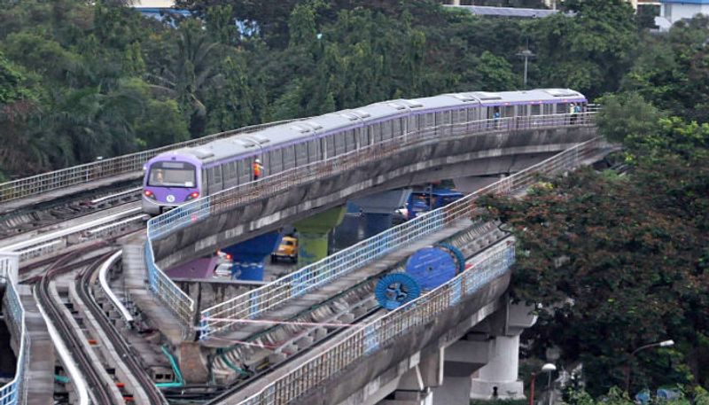 snake in hyderabad metro rail