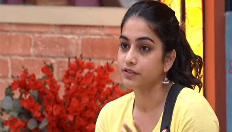 punarnavi bhupalam reveals her love stories in bigg boss house