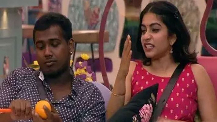 Bigg Boss 3: Punarnavi fires on ravikrishna