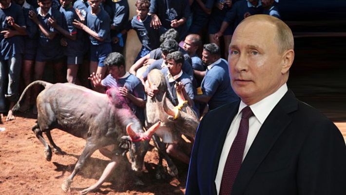 Putin To Watch Jallikattu In 2020 Along With Modi