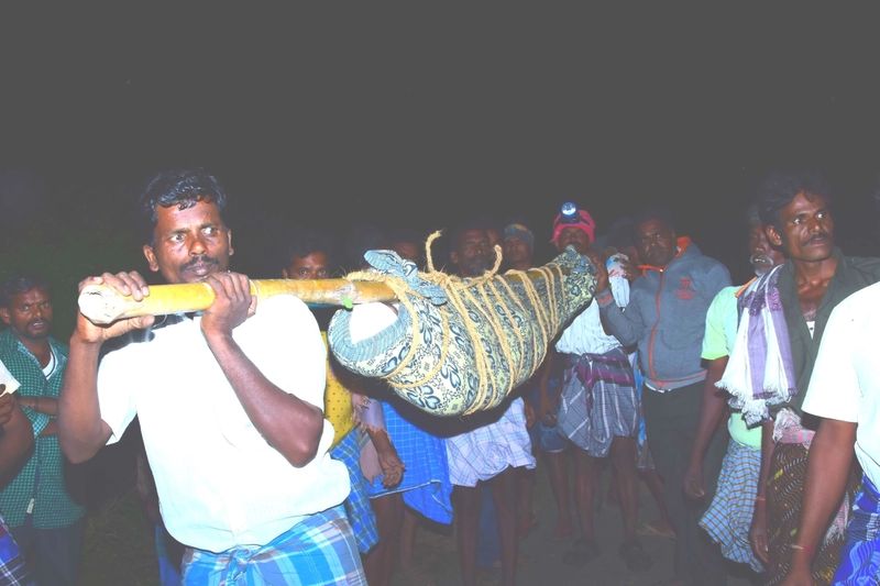 vikatan-2019-12-1a4d5dba-d747-4b66-9192-