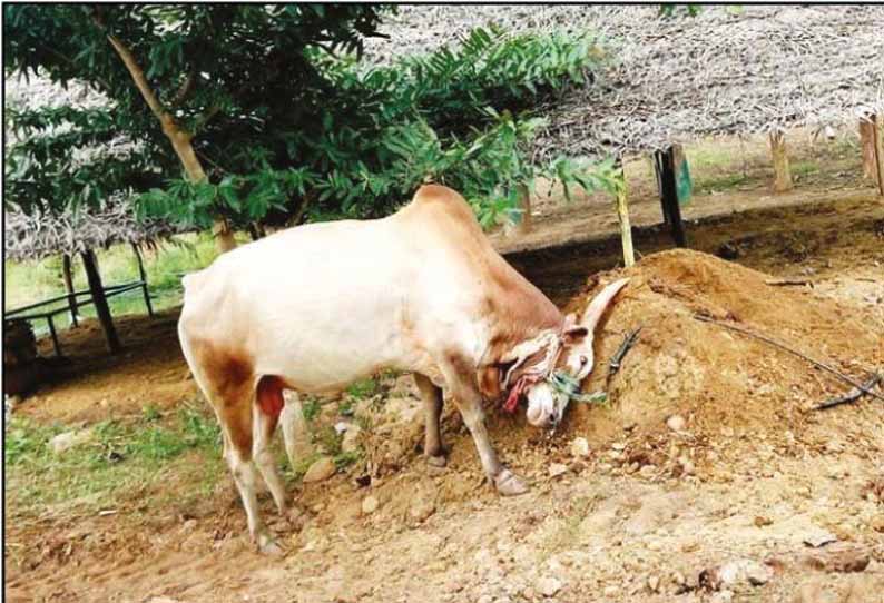 201912132134357095-in-the-vellore-distri