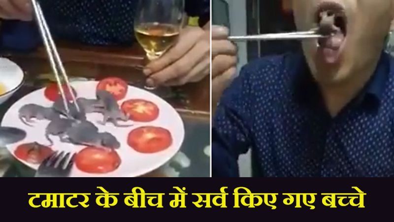 म क प ट स न कलत ह प ल ट म सर व ह ए बच च लड क न ख त ह ए कह बह त ट स ट ह Man Eats Live Newborn Mice With Sauce In Viral Video Kph