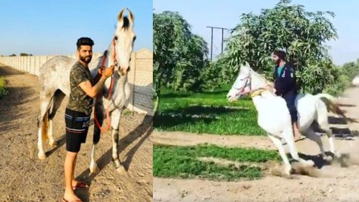 Coronavirus lockdown: Ravindra Jadeja turns horse rider; spends ...