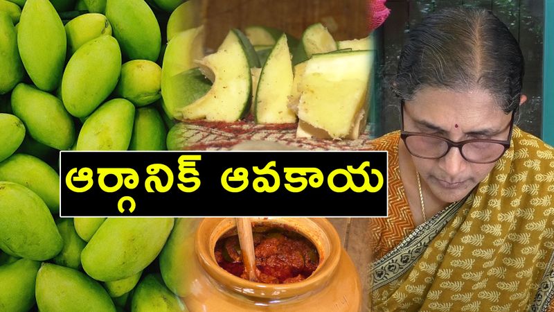 OG LIFE healthy pickle season during a time when corona is changing life stories