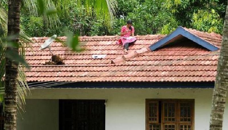 This Kerala girl does not have to climb on roof for online classes ...