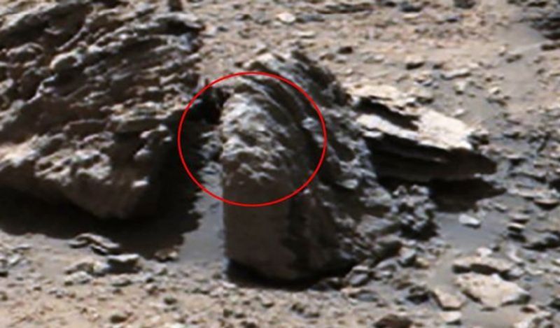 <p>स्कॉट के अनुसार एक ही जगह पर पिरामिड के आकार का पत्थर और फिर दूसरे में इंसान का चेहरा, ये कोई इत्तेफाक नहीं हो सकता। ये इस बात का सबूत है कि सदियों पहले मंगल ग्रह पर जिंदगी मौजूद थी। ये तस्वीरें मंगल ग्रह पर एलसी माउंटेन नाम की जगह से ली गई है। इस जगह पर समय-समय पर जिंदगी होने का दावा किया जाता है।&nbsp;</p> 