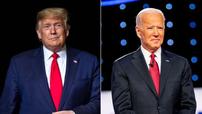 US election 2020: Press, social media blocking serious charges against Joe Biden: Donald Trump