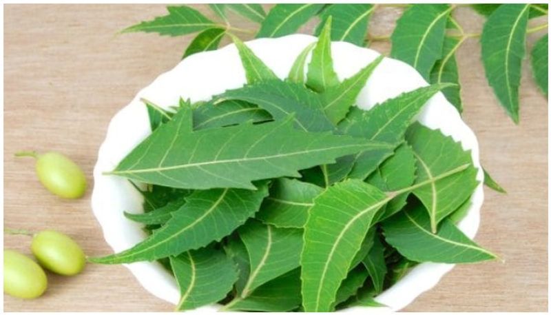 
<p><strong>Take paste: </strong>Make a paste out of neem leaves and apply it to keep dandruff and other scalp infections away.</p>
<p>“onerror =” this.src = “https: =” “/></p>
<h2 class=
