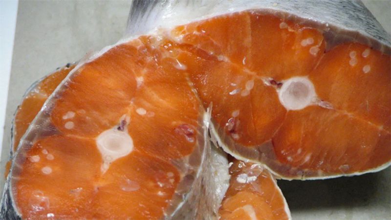 <p><strong>फार्म्ड सैल्मन मछली </strong><br />
यदि आप खेती की गई सैल्मन फिश का सेवन कर रहे हैं और आपको लगता है कि आप हेल्दी खाना खा रहे हैं, तो हम आपको बता दें कि रिसर्च में साबित हुआ है कि खेती की गई सैल्मन कैंसर के विकास के जोखिम को बढ़ाती है, क्योंकि आजकल मछली की बढ़ती मांग को देखते हुए इसे पानी की टंकियों में पाला जा रहा है। उन्हें एंटीबायोटिक्स से भरी डाइट दी जाती है ताकि वे बीमारियों से बची रहें। यही एंटीबायोटिक्स हमारे शरीर के अंदर पहुंचकर कैंसर की वजह बन जाते हैं।</p>
