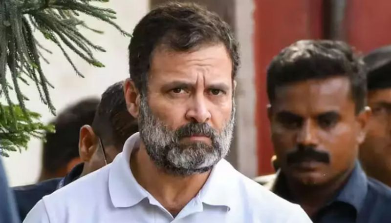 Rahul Gandhi disqualified as Lok Sabha MP