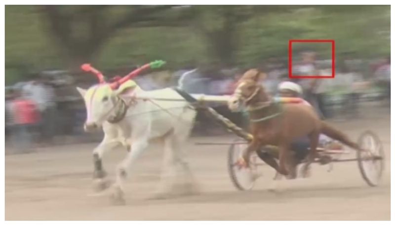 ಕಾರ ಹುಣ್ಣಿಮೆ ನೆಪದಲ್ಲಿ ಜಾನುವಾರಗಳಿಗೆ ಚಿತ್ರಹಿಂಸೆ..! ಎತ್ತು ,ಕುದುರೆಗಳಿಗೆ ಕರೆಂಟ್ ಶಾಕ್ ನೀಡಿ ವಿಕೃತಿ..!