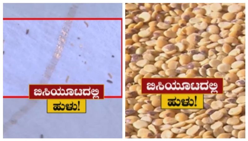 ಅಕ್ಷರ ದಾಸೋಹ ಬಿಸಿಯೂಟ ಬೇಳೆಯಲ್ಲಿ ಹುಳು ಪತ್ತೆ! ಬಾಲಹುಳು, ನುಸಿಹುಳು ಕಂಡು ಆತಂಕಗೊಂಡ ಮಕ್ಕಳು,ಪೋಷಕರು!