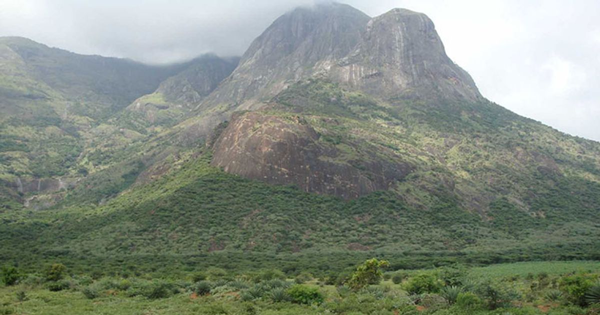 save-theni-from-india-based-neutrino-observatory-residents-fight