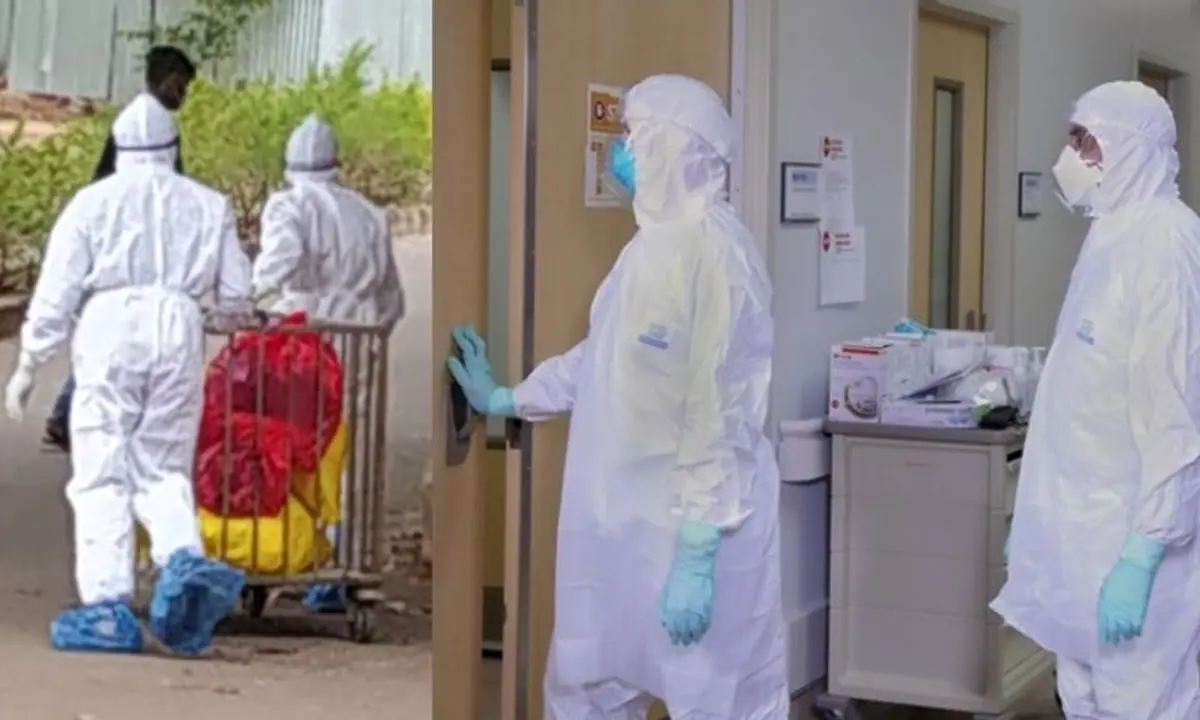 Nipah patient condition improves; two out of three samples test negative for virus