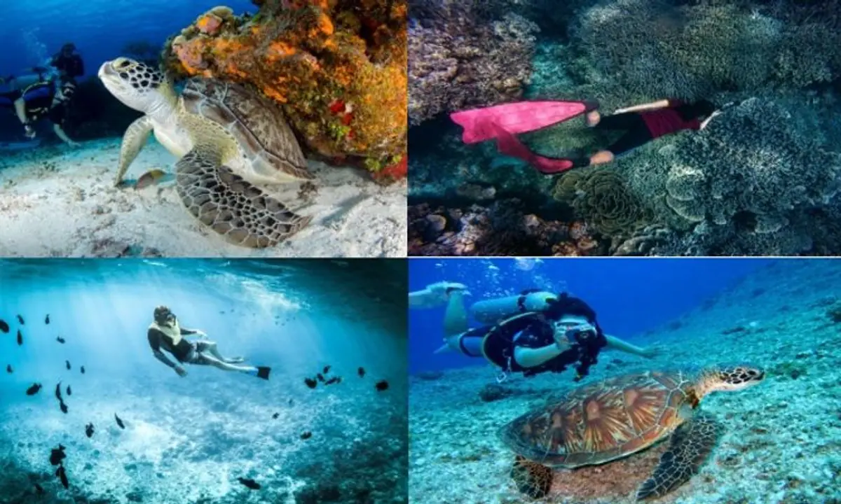 Scuba diving: मालदीव,थाईलैंड नहीं भारत की इन 6 जगहों पर उठाएं स्कूबा डाइविंग का भरपूर मजा 