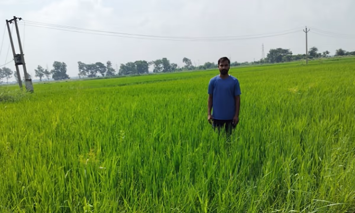 Success Story: बीटेक की पढ़ाई बेंगलुरु में नौकरी पर स्मार्ट खेती से बनी पहचान, अब सालाना कमाई 35 लाख के पार