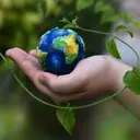 Nations Can Be Sued For Climate Harm Now! World Court Says Global Warming A Human Rights Issue