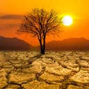 Man-made climate change gave half the world an extra month of extreme heat: Study