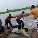 Main Road Cut, Men Form Human Bridge, Help School Children Cross Flooded Field In Punjab (WATCH)