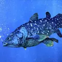 400-Million-Year-Old Fish Forces Scientists to Rethink Human Evolution