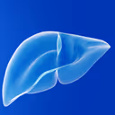 Liver Health: లివర్ ఆరోగ్యంగా ఉండాలంటే వీటికి దూరంగా ఉండాలి!