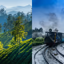 Best Monsoon Getaways in India: Scenic Destinations to Explore