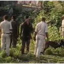 Bihar mob attack: Five of a family killed, bodies burnt over suspicions of black magic