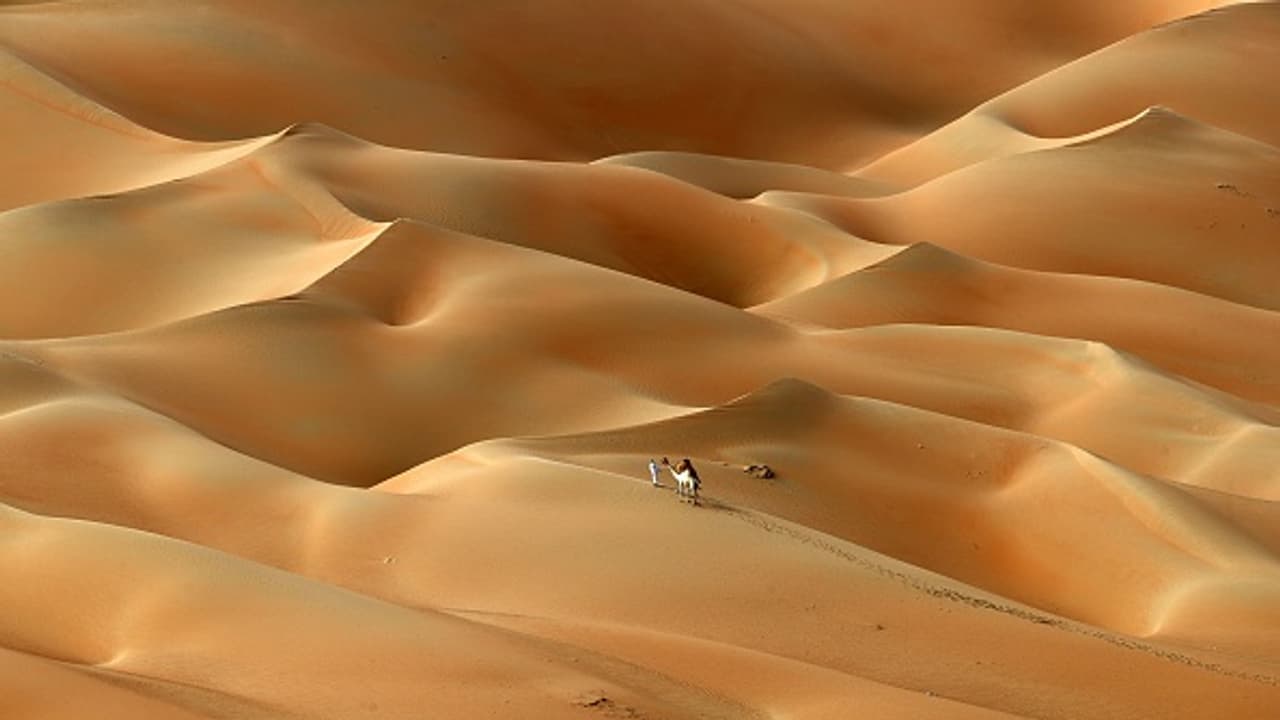 Emirati travels with his camels across the Hameem desert