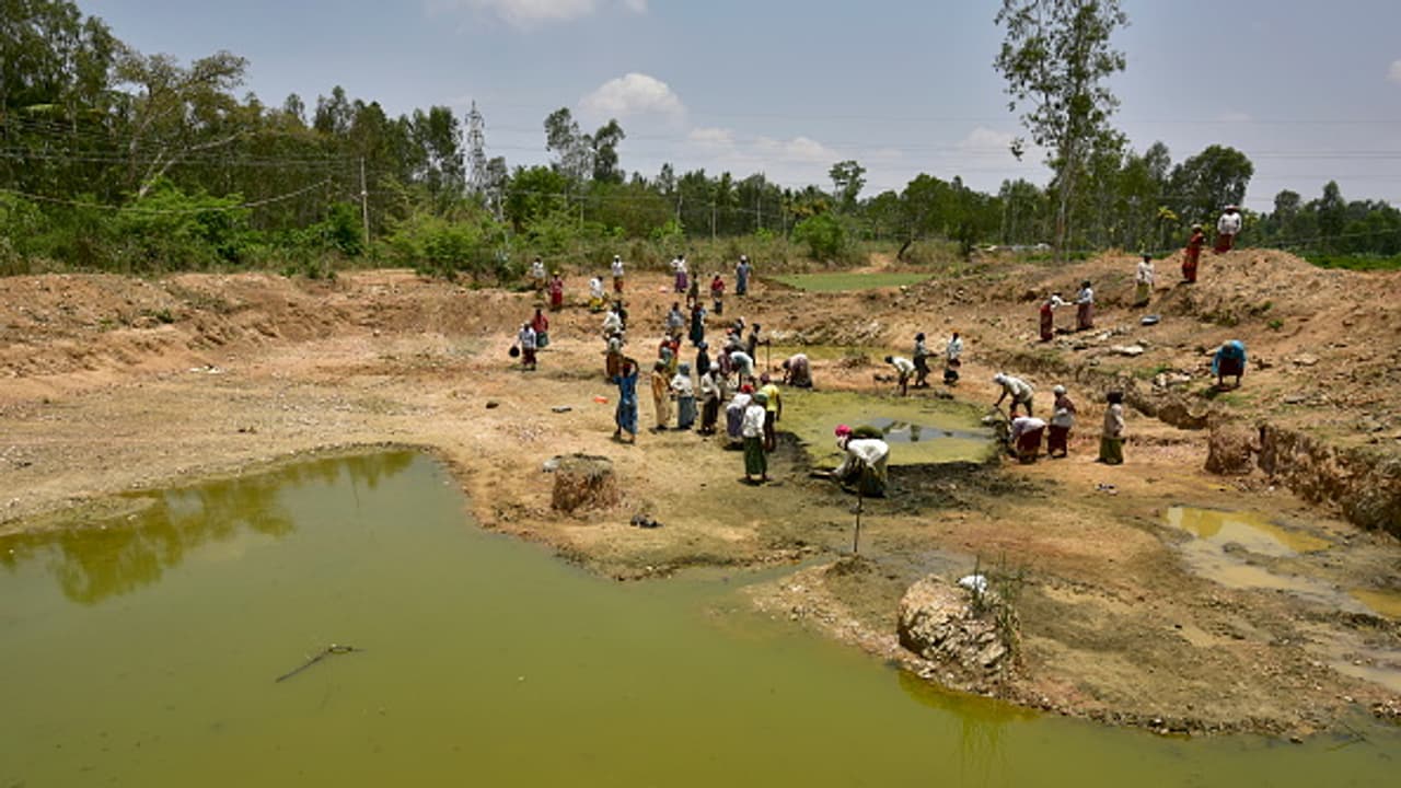 In pics: 3000 Mandya women labour in the sun to revive lakes, ponds In pics: 3000 Mandya women labour in the sun to revive lakes, ponds